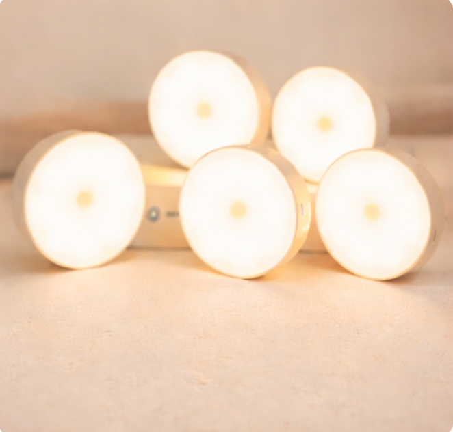 LED Motion Sensored Lights